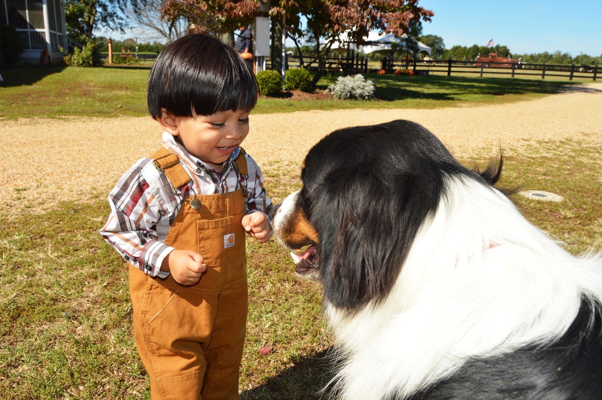 Farm activities